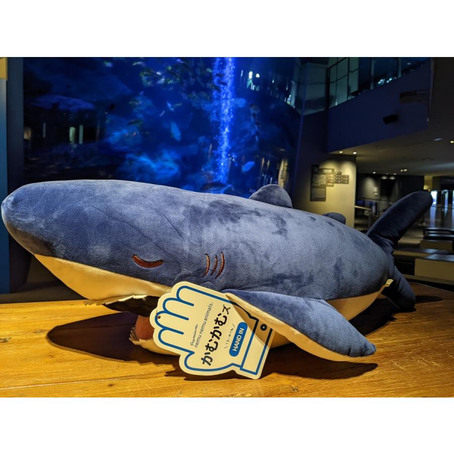 すみだ水族館 サメ プレミアムねむねむアニマルズ かむかむズ 抱き枕ｌ ザップ すみだ水族館 オンラインショップ 通販 Yahoo ショッピング