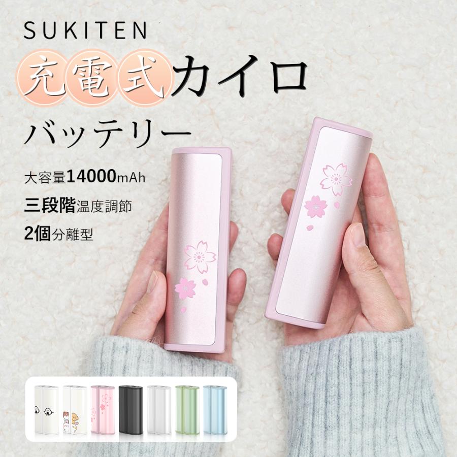 時間限定3980円 電気カイロ 充電式カイロ 充電カイロ モバイル 