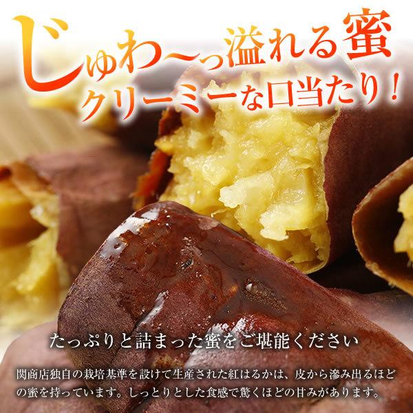 冷凍焼き芋 紅はるか 冷凍 合計500g(500g×1袋) やきいも しっとり 無