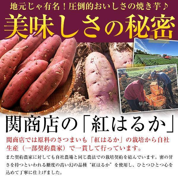 冷凍焼き芋 茨城 紅はるか 合計1.5kg(500g×3袋) ギフト 食品
