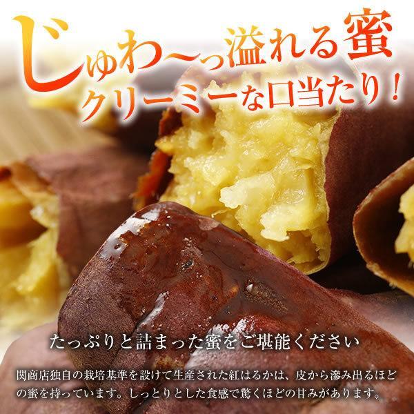 冷凍焼き芋 茨城 紅はるか 合計1.5kg(500g×3袋) ギフト プレゼント 食品 焼き芋 さつまいも 焼いも 茨城県 関商店 スミフル｜sumifru｜04