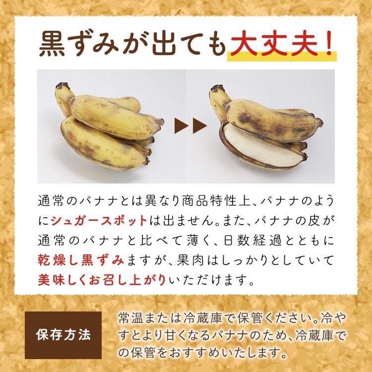 スミフル（Sumifru） バナップル 2パック スミフル開発品種 フィリピン