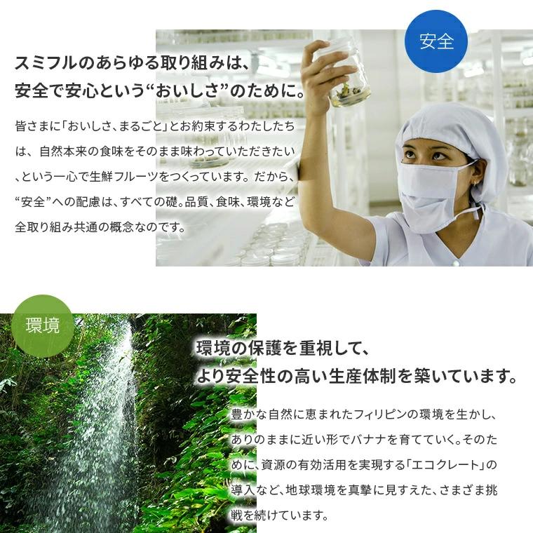 甘熟王ゴールドプレミアム 3パック スミフル バナナ 高級 最高級 お中元 お歳暮 | スミフル | 15