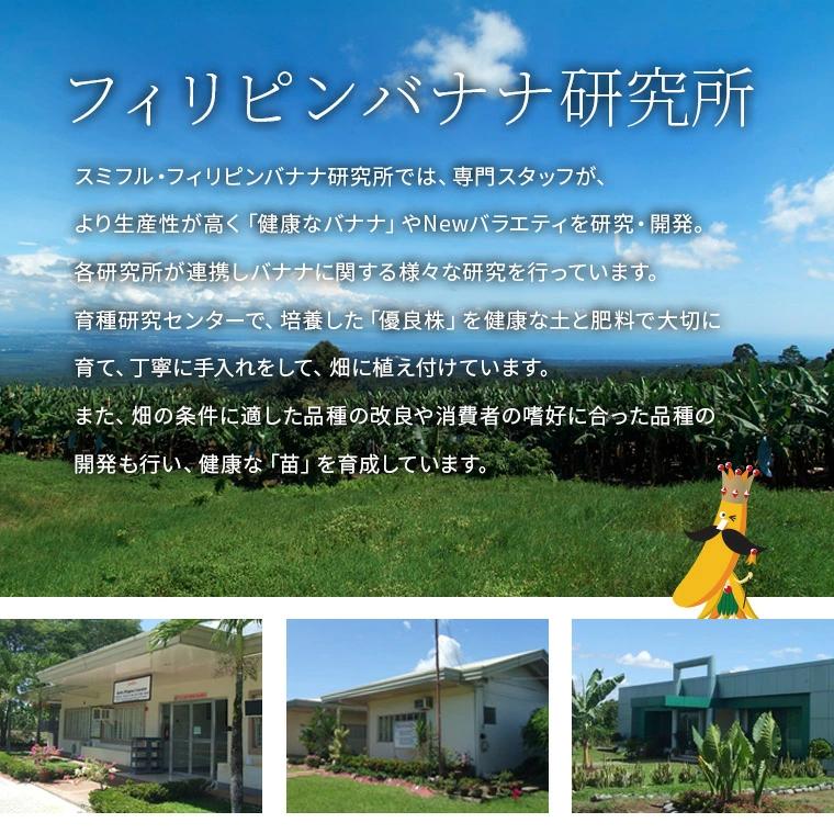甘熟王ゴールドプレミアム 3パック スミフル バナナ 高級 最高級 お中元 お歳暮 | スミフル | 17