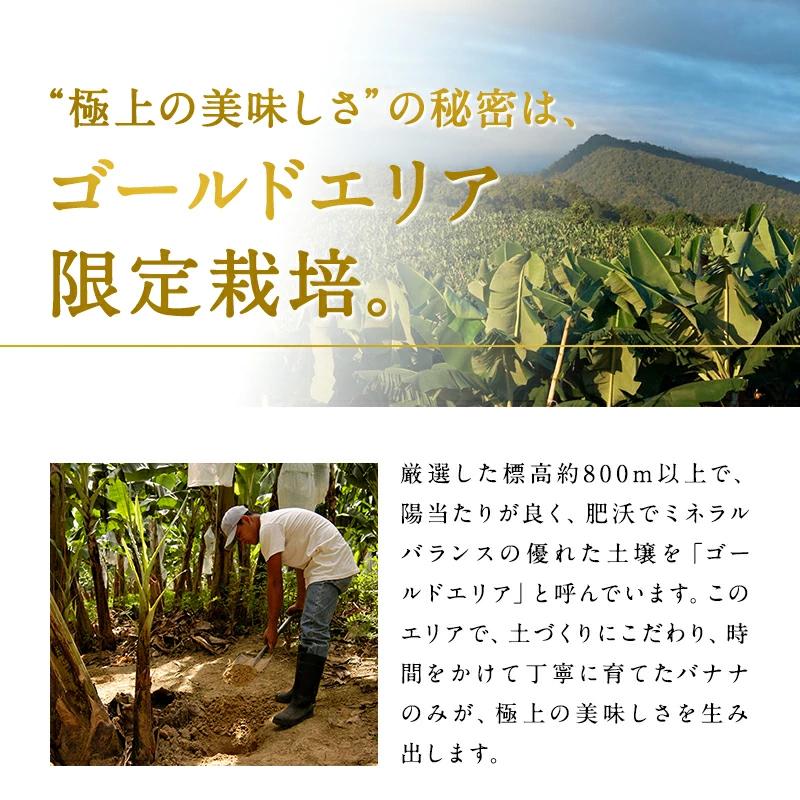 甘熟王ゴールドプレミアム 3パック スミフル バナナ 高級 最高級 お中元 お歳暮 | スミフル | 05