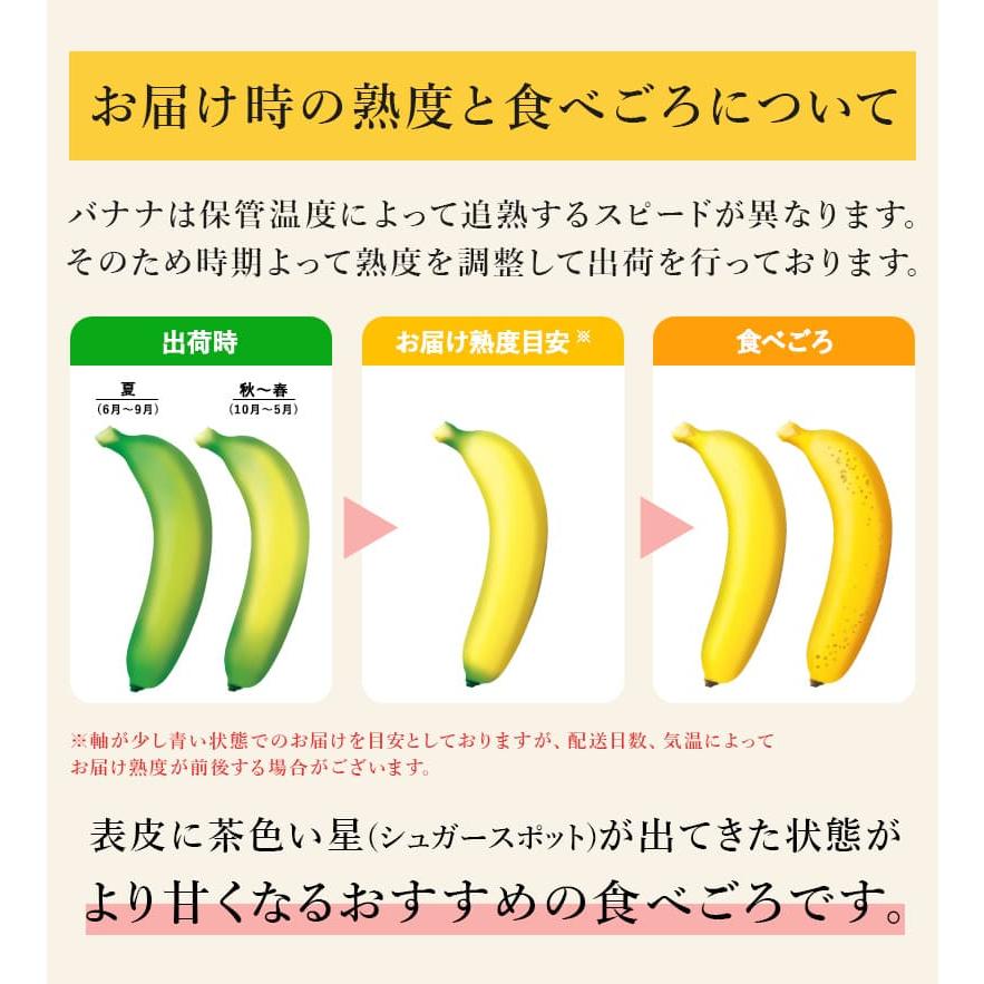 バナナ 業務用 訳あり 甘熟王 約15kg フィリピン産 スミフル : バナナ