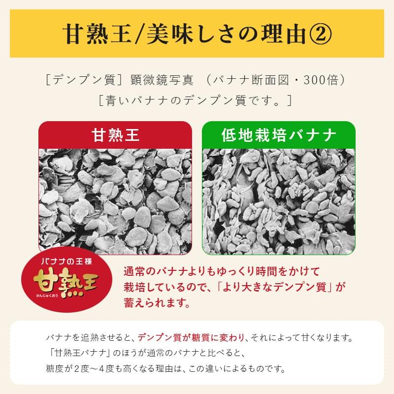 バナナ 業務用 訳あり 甘熟王 約15kg フィリピン産 スミフル｜sumifru｜08