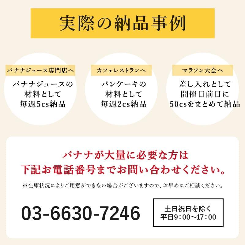 バナナ 業務用 訳あり 甘熟王 約5kg フィリピン産 スミフル | 甘熟王 | 09