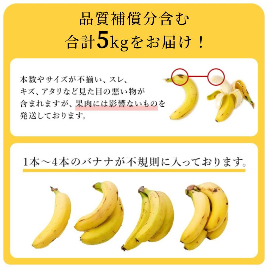 バナナ 業務用 訳あり 甘熟王 約5kg フィリピン産 スミフル | 甘熟王 | 02