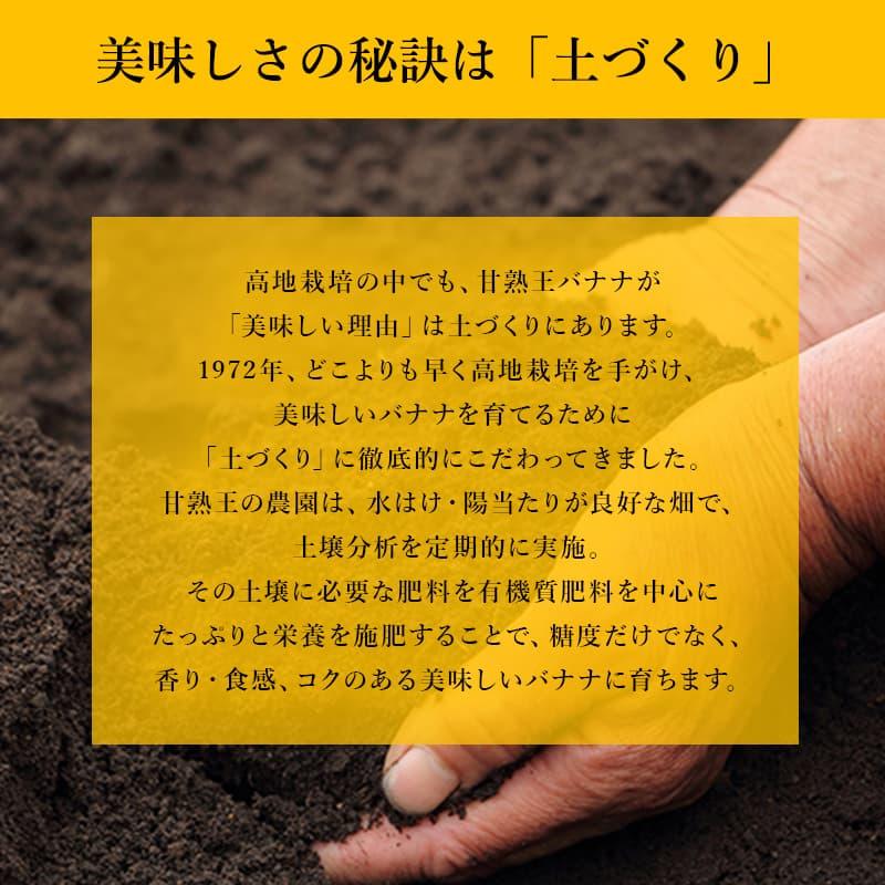 バナナ 業務用 訳あり 甘熟王 約5kg フィリピン産 スミフル | 甘熟王 | 07