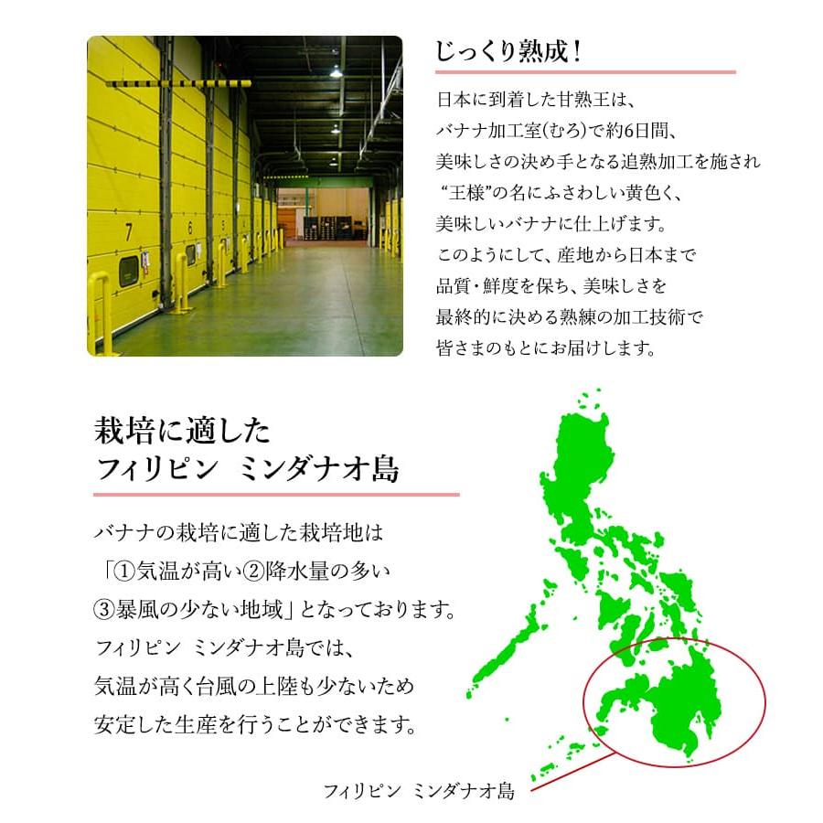 バナナ 業務用 訳あり 甘熟王 約5kg フィリピン産 スミフル | 甘熟王 | 08