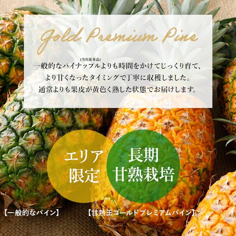 甘熟王ゴールドプレミアムパイン約10kg 6玉 パイナップル 高糖度 甘熟王ゴールドプレミアムパイン約10kg 6玉 パイナップル 高糖度