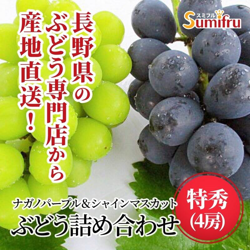 長野県 ぶどう ナガノパープル シャインマスカット 詰め合わせ 特秀 4房 約2 4kg 葡萄 ブドウ 種無し ギフト 予約商品 送料無料 Grape Muscat 4 2 バナナのスミフルyahoo 店 通販 Yahoo ショッピング