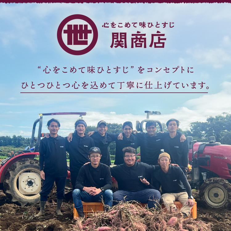 干し芋 茨城 紅はるか 合計900g ギフト プレゼント さつまいも サツマイモ 関商店 国産 ほしいも 干しいも ネコポス |  | 04