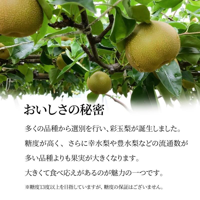 埼玉県産 彩玉梨 梨 果物 8〜12玉 約5kg くだもの フルーツ プレゼント 予約商品 予約 送料無料 スミフル sumifru こだわり 【8/25ごろ発送】 |  | 02