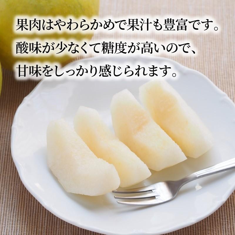 埼玉県産 彩玉梨 梨 果物 8〜12玉 約5kg くだもの フルーツ プレゼント 予約商品 予約 送料無料 スミフル sumifru こだわり 【8/25ごろ発送】 |  | 04