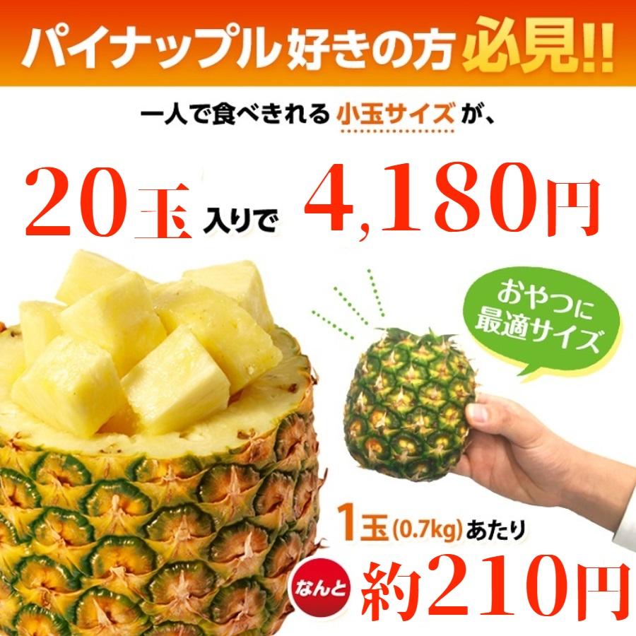 スミフル パイナップル 業務用 小玉 20玉 約14kg 甘熟王パイン