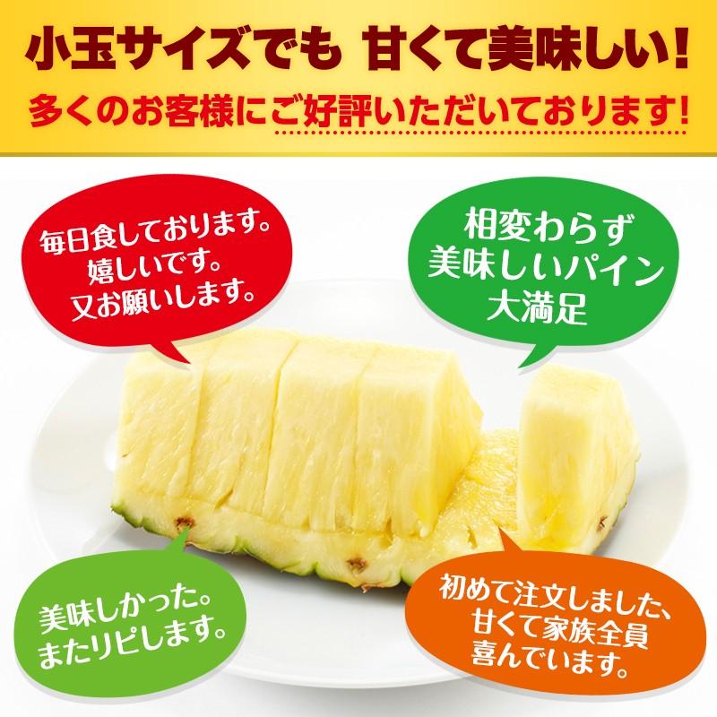 パイナップル 業務用 小玉 7玉 約5kg 甘熟王パイン | スミフル | 02