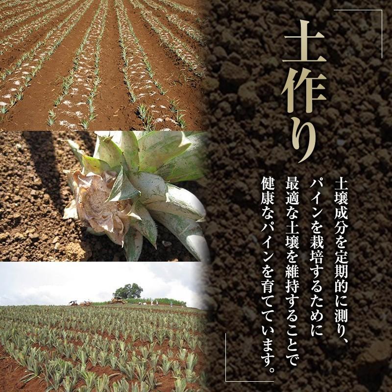 パイナップル 業務用 小玉 7玉 約5kg 甘熟王パイン | スミフル | 07