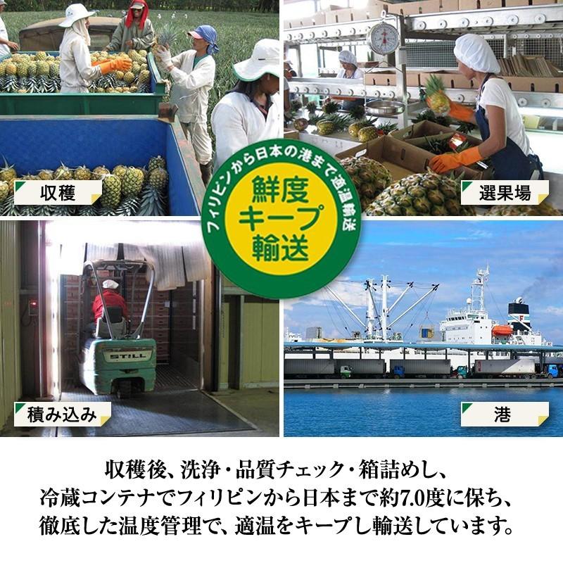 パイナップル 業務用 小玉 7玉 約5kg 甘熟王パイン | スミフル | 08