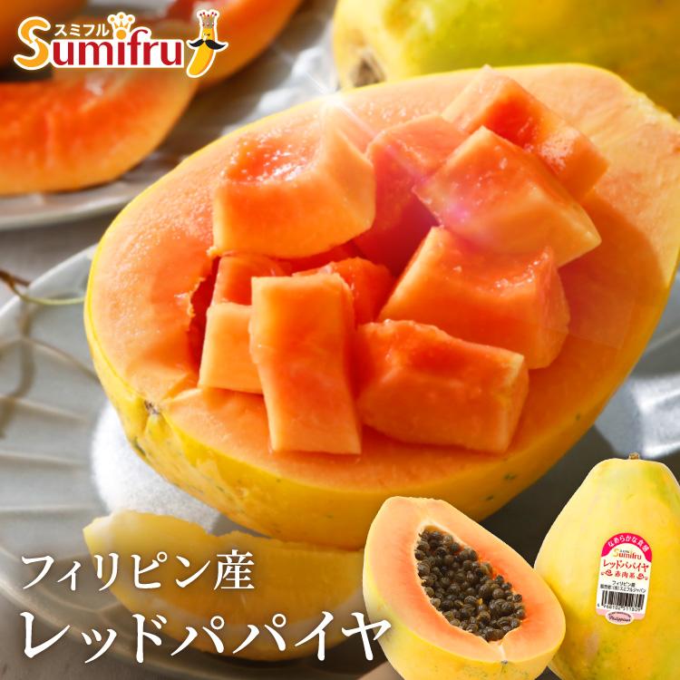 スミフル レッドパパイヤ 3玉 約1.6kg フィリピン産 パパイヤ ギフト 