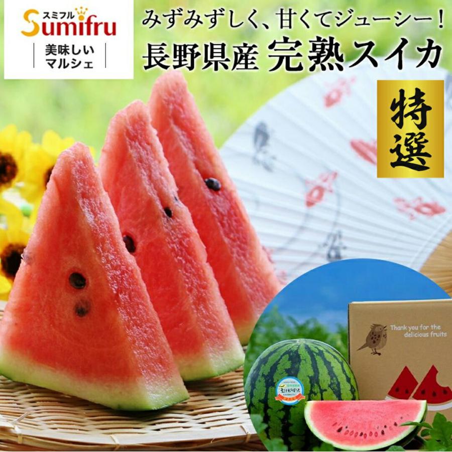 長野県産 特選 すいか スイカ 特大 4Lサイズ むぎわらぼうし