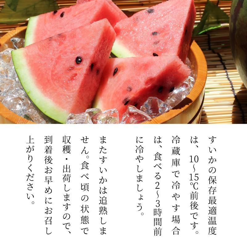 長野県産 すいか スイカ 2l むぎわらぼうし 産地直送 完熟 西瓜 果物 くだもの フルーツ プレゼント 長野県 果実 予約商品 予約 送料無料 スミフル Watermelon バナナのスミフルyahoo 店 通販 Yahoo ショッピング
