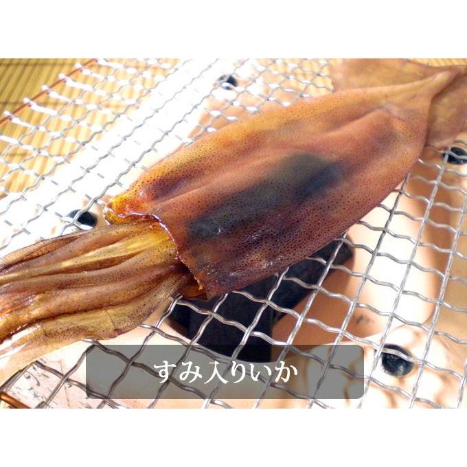 丸干しイカ 肝入りゴロイカ スミイカ するめいか スルメイカ 干物 一夜干し 珍味 おつまみ | 