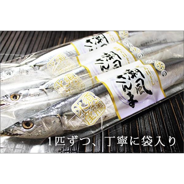 宮古直送　潮風さんま（さんまの丸干） |  | 03