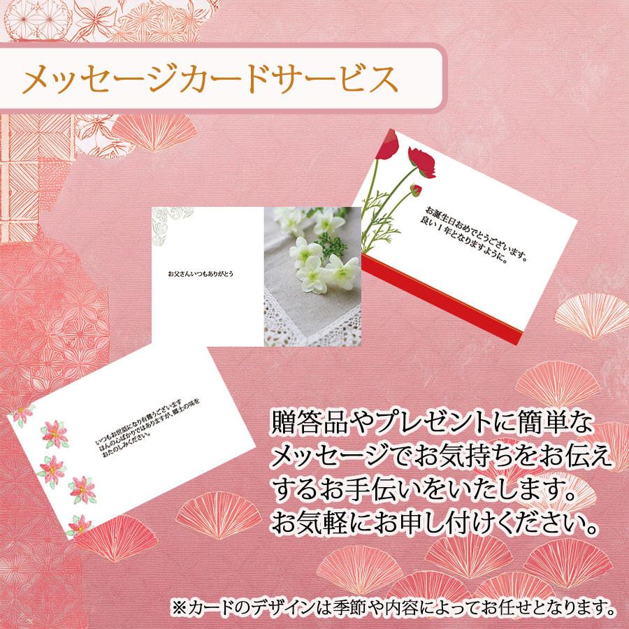 ふぐ 干物 セット お中元  ふぐの干物 フグ 河豚お歳暮 内祝 引き出物 祝い事 おめでたいセット 招福 塩ふぐ 贈答用 |  | 06