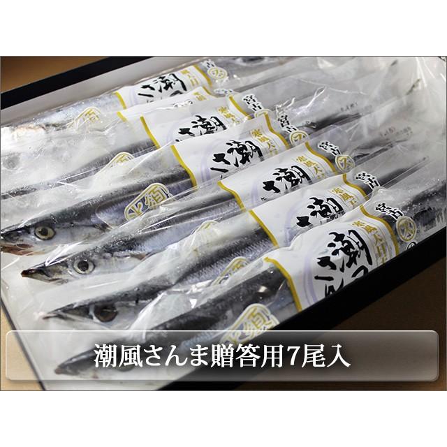 岩手県宮古市直送　さんまの丸干し　潮風さんま贈答用7尾化粧箱入り　御中元　御歳暮　ご贈答品におすすめ | 