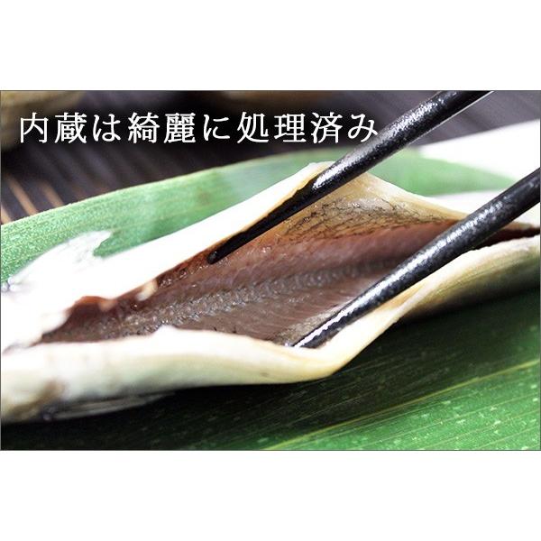 岩手県宮古市直送　さんまの丸干し　潮風さんま贈答用7尾化粧箱入り　御中元　御歳暮　ご贈答品におすすめ |  | 02