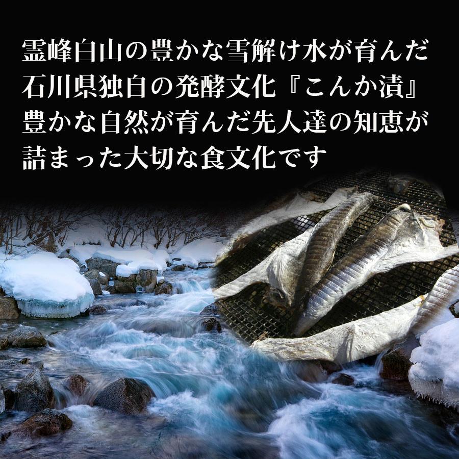 ふぐの子 110〜125ｇ ふぐの子糠漬 ふぐへしこ ふぐの卵巣 河豚 卵巣 珍味 石川県 パスタの具材 チャーハン 日本酒のアテ |  | 06