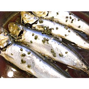 国産実山椒の佃煮（小袋） |  | 03