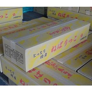 鳥取県産「ねばりっこ」 家庭用　10kg入｜sumitaniseika