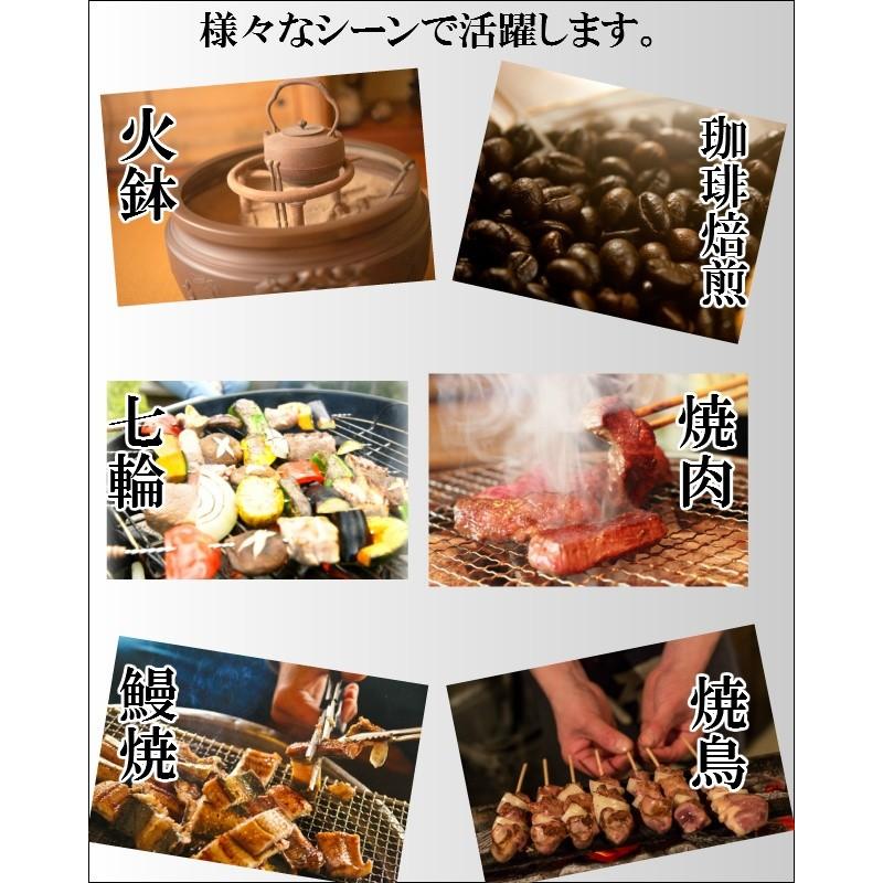 1級 オガ備長炭 オガ炭 10kg バーベキュ− BBQ 焼肉 焼き鳥 など