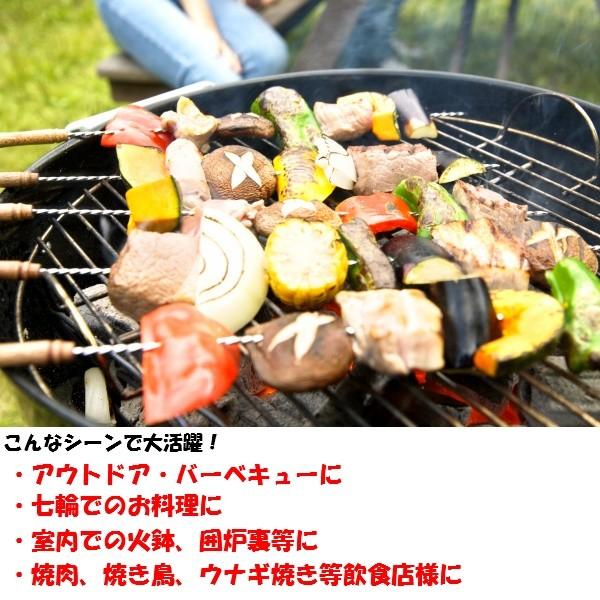 バーベキューに最適 5〜6人用 国産木炭＆オガ備長炭セット 着火剤入