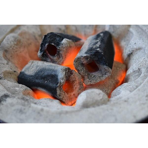 送料無料 1級 オガ備長炭 (オガ炭) 20kg (10kg×2) バーベキュ− BBQ 
