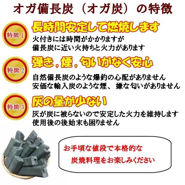 送料無料 1級 オガ備長炭 (オガ炭) 20kg (10kg×2) バーベキュ− BBQ