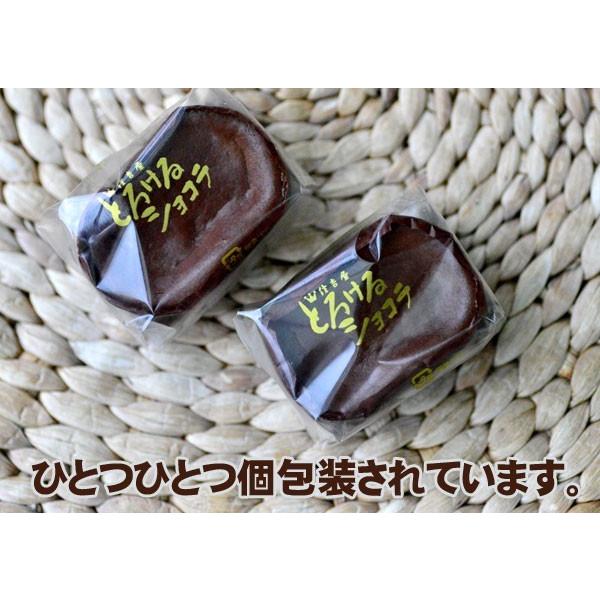 ホワイトデー チョコ2026 チョコレートケーキ とろけるショコラ