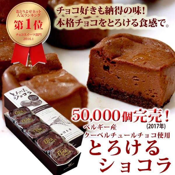 父の日 2024 とろけるショコラ 10個入 チョコレート ギフト おしゃれ 美味しい 送料無料 スイーツ チョコ プレゼント ケーキ 誕生日 洋菓子 お取り寄せ｜sumiyosiya