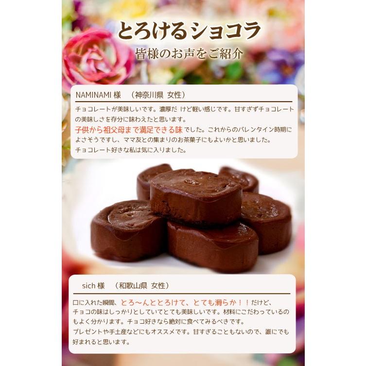 バレンタイン チョコレート お菓子 スイーツ 誕生日 バースデー チョコ プレゼント ギフト 送料無料 ケーキ 有名 手土産 内祝い 10個入 Choco02 スイーツの住吉屋 Yahoo 店 通販 Yahoo ショッピング