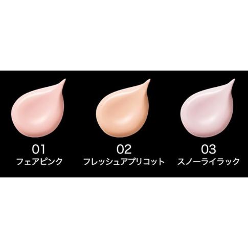 KATE カネボウ KATE ケイト カラー&カバークッション ケース付きセット