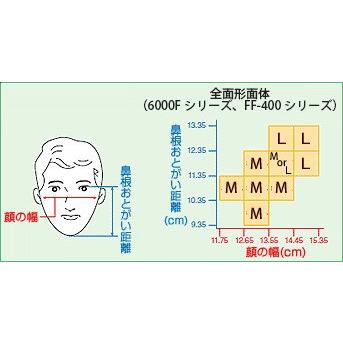 3M 防塵マスク兼防毒マスク 3M 6000F/2091-RL3全面体 アスベスト
