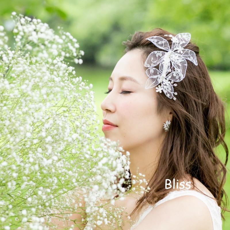 ウェディング アクセサリー 【Bliss オリジナル商品　 LeMieux（ルミュー）シリーズ　 Floraison Juno（フロレゾン　ジュノー）】 |  | 01