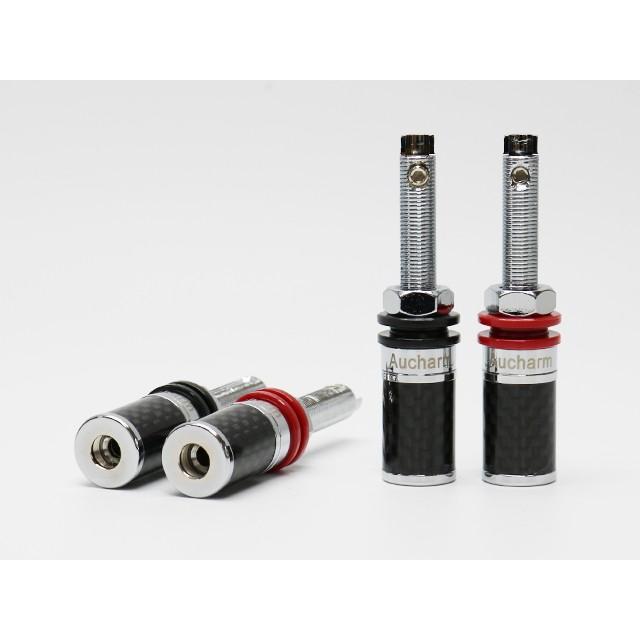 スピーカーターミナル ロジウムメッキ仕様 |  | 01