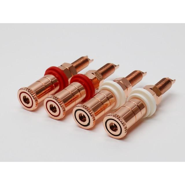 銅メッキ 高級スピーカーターミナル BOX用 |  | 01