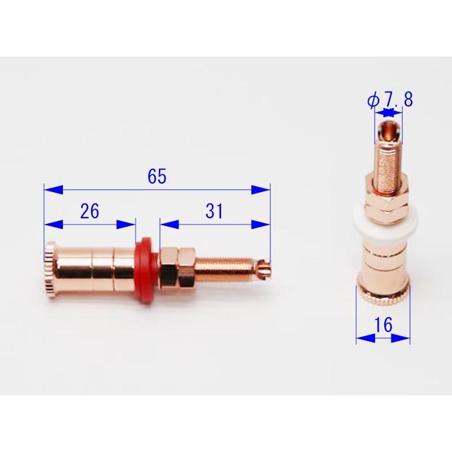 銅メッキ 高級スピーカーターミナル BOX用 |  | 04