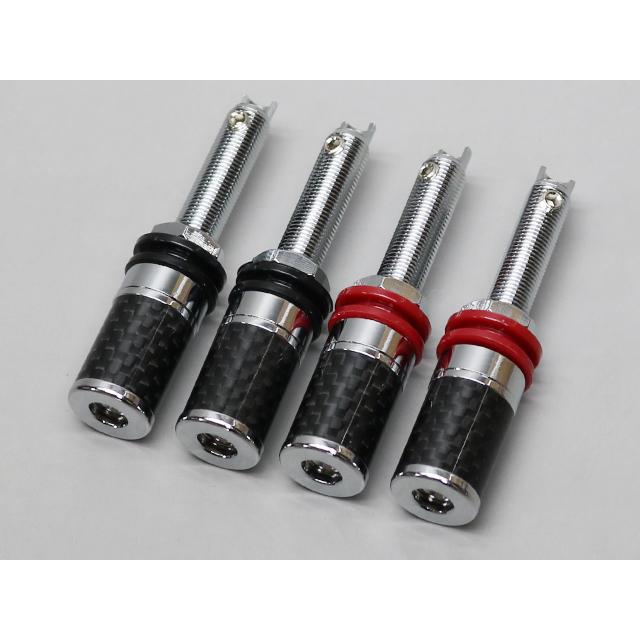 スピーカーターミナル ロジウムメッキ仕様 | 