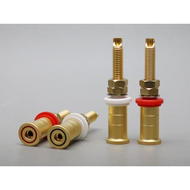 スピーカーターミナル BOX用 |  | 01